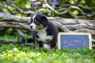 Betty